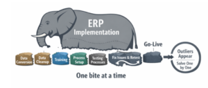 ERP implementation shown as an elephant broken into steps, including data conversion, cleanup, training, process setup, testing, issue fixing, go-live, and handling outliers one at a time